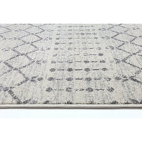 Delicate Grey Modern Rug 160x230 cm