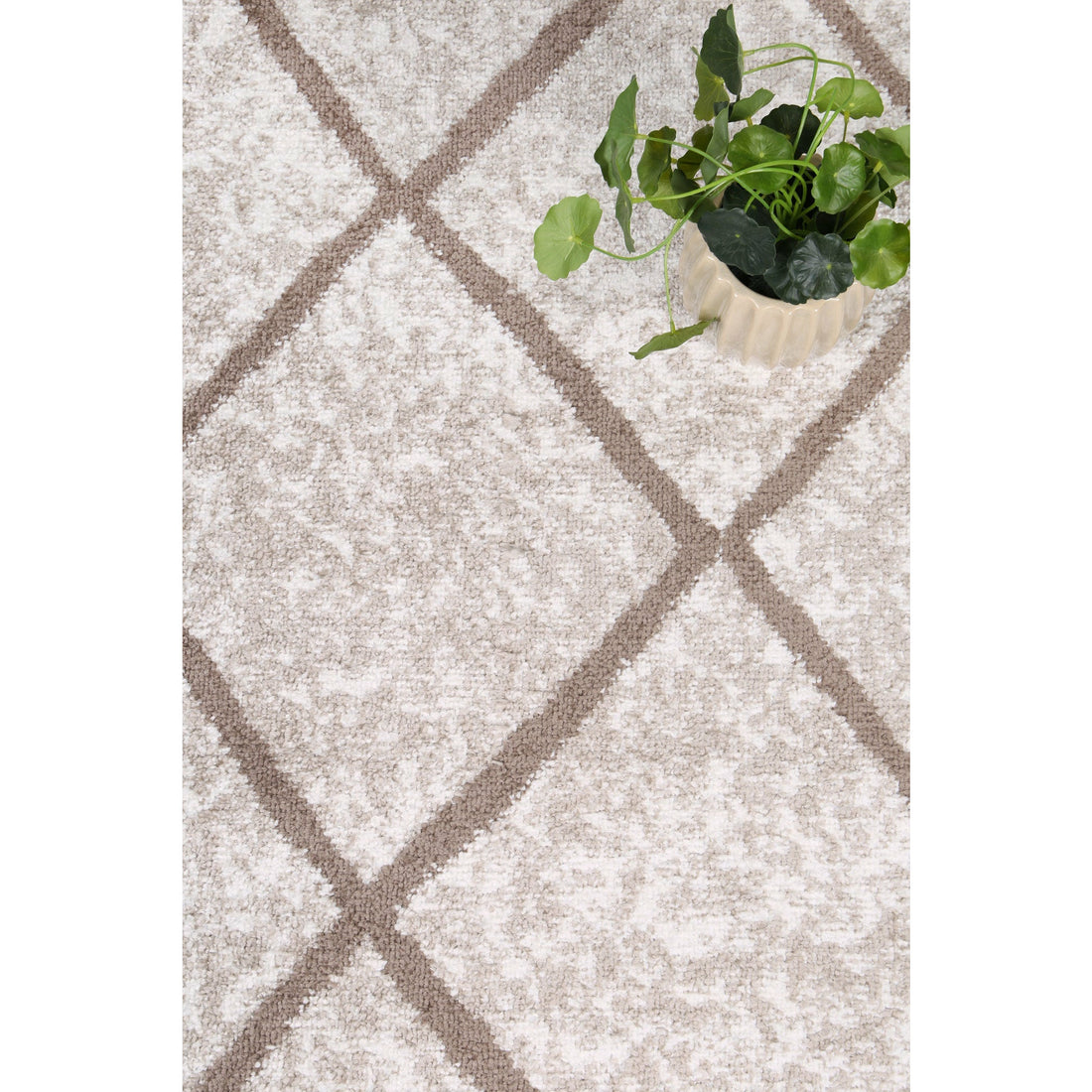 Windjana Diamond Latte Rug 240x330cm