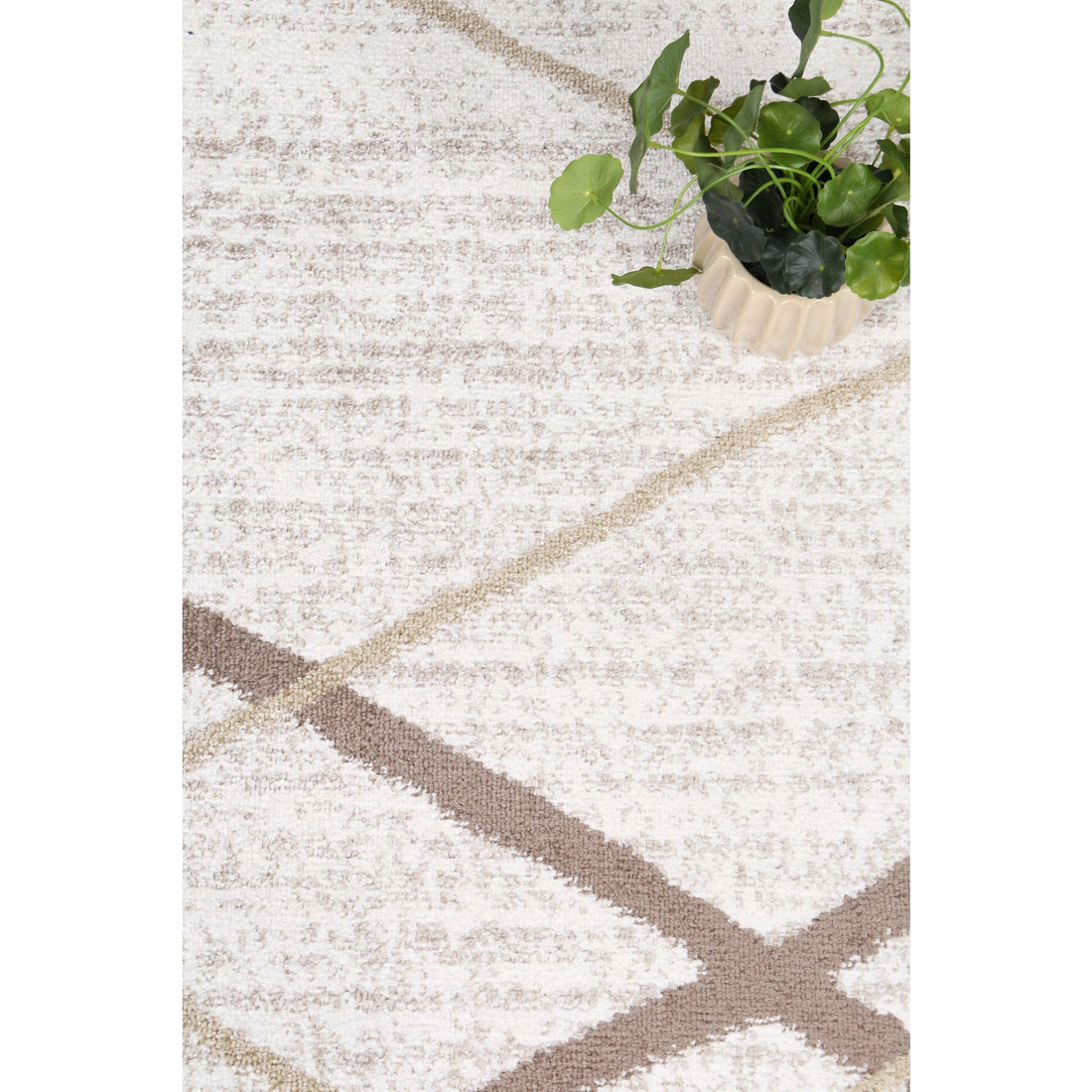 Windjana Abstract Stripe Latte Rug 240x330cm