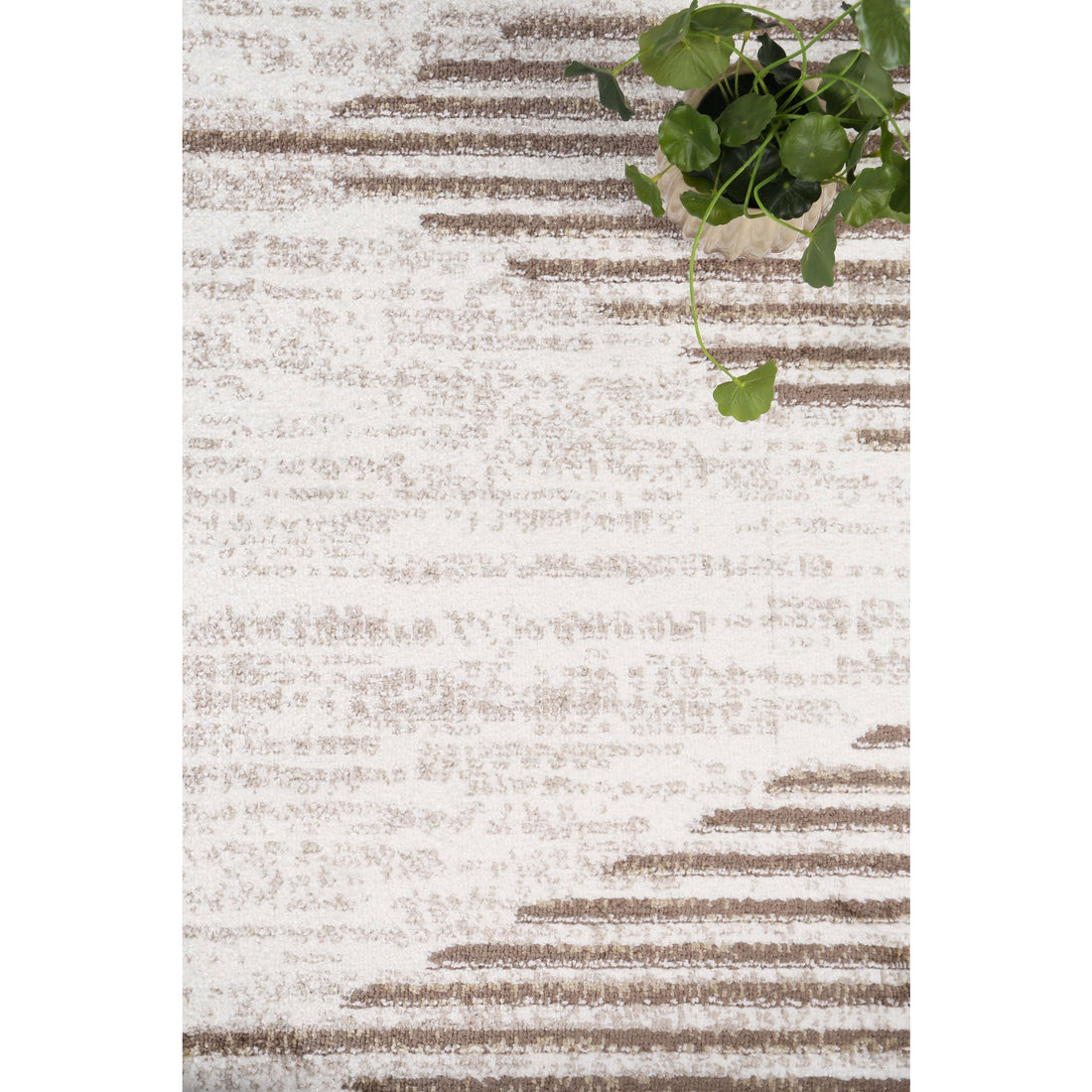 Windjana Abstract Diamond Latte Rug 240x330cm