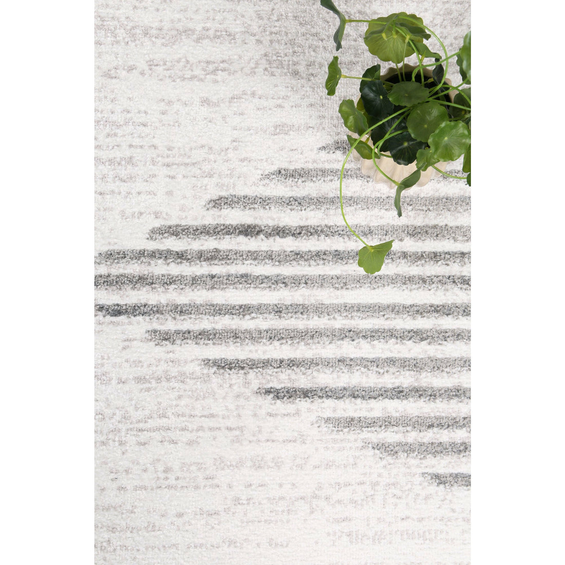 Windjana Abstract Diamond Silver Rug 240x330cm