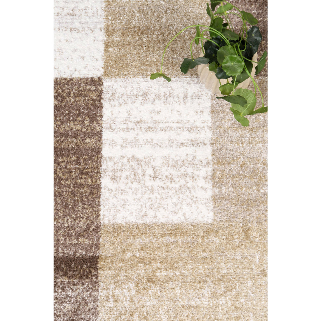 Windjana Abstract Geometric Beige Rug 280x380cm