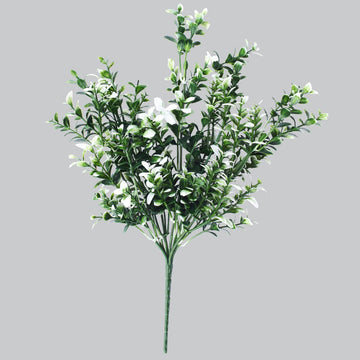 White Tipped Money Leaf Stem 32 cm