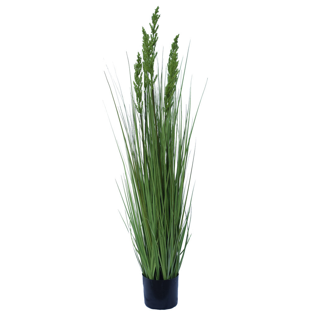 Flowering Native Grass 120 cm