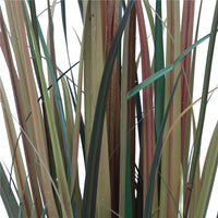 Flowering Native Fox Tail Grass 120 cm