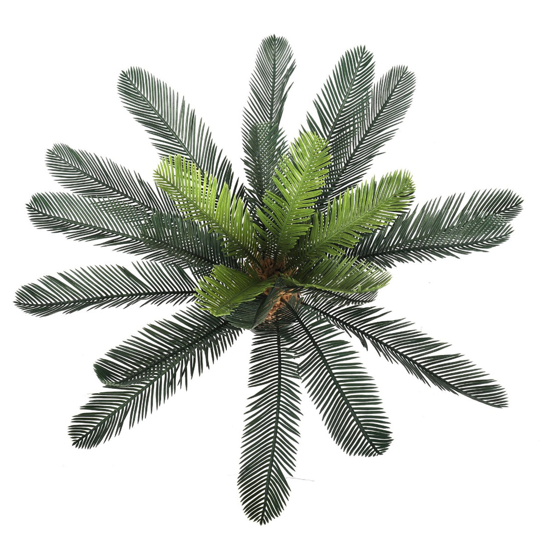 Artificial Cyac (Cycad) Plant 60cm