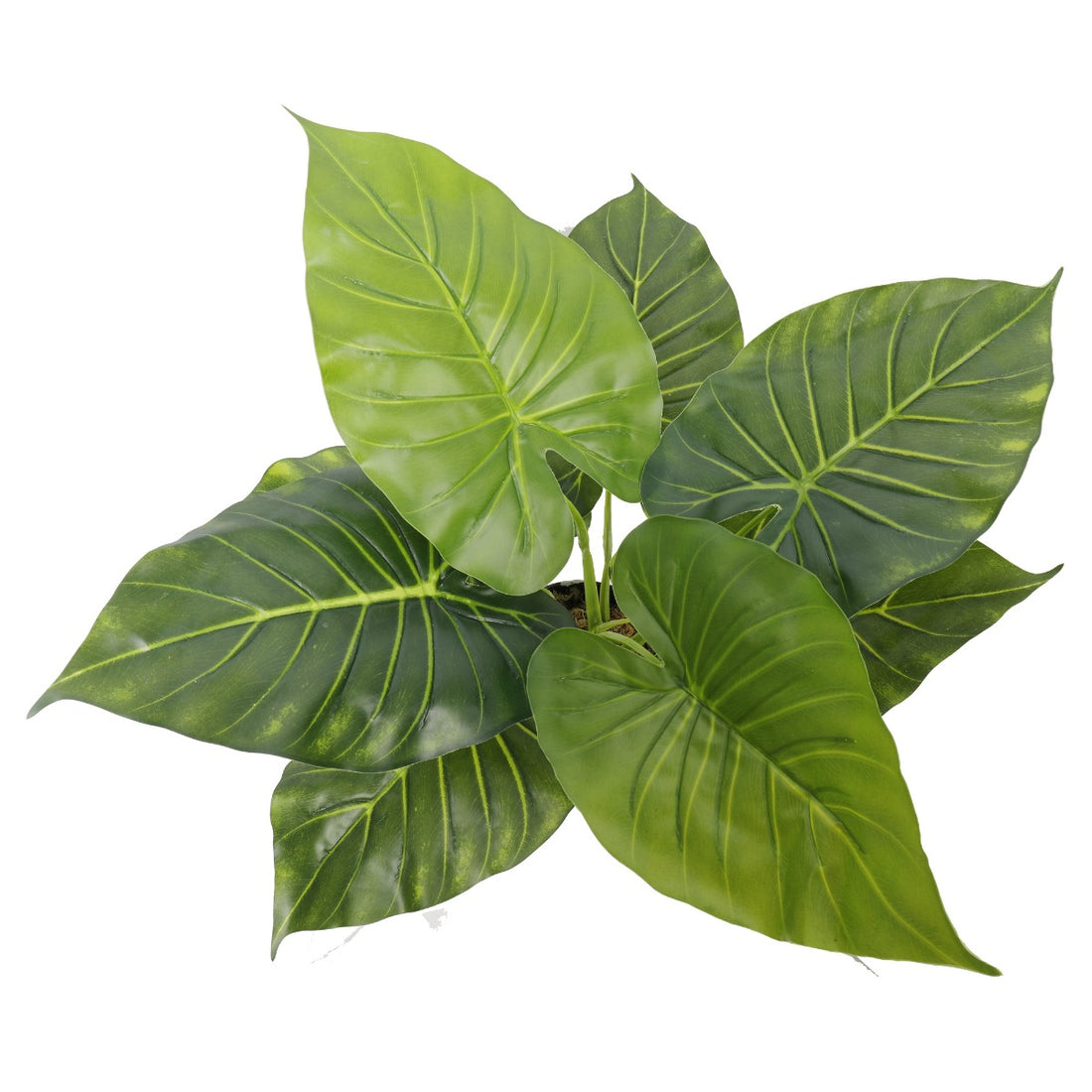 Artificial Potted Taro Plant / Elephant Ear 55cm