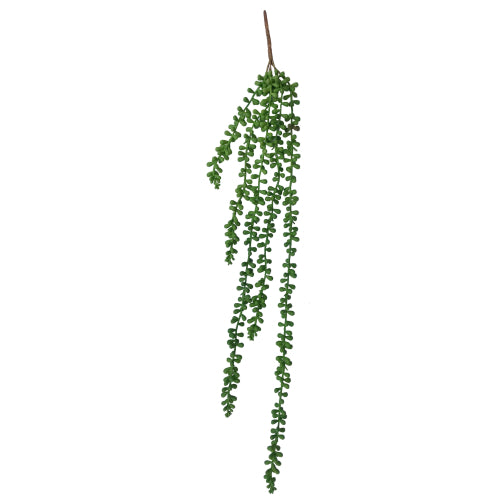 Hanging Succulent String of Pearl Beads 75cm