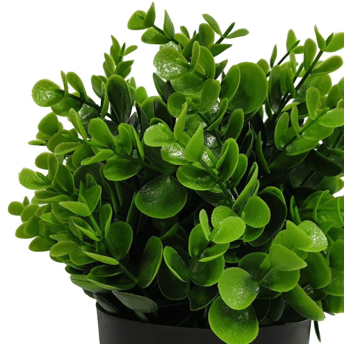 Small Potted Artificial Peperomia Plant UV Resistant 20cm